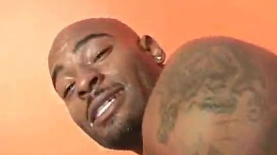 Interracial Ball Sucking Hotties