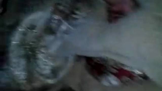 Videos caseiros