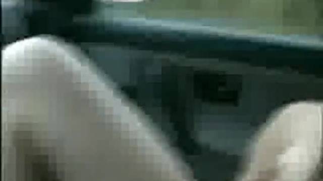 Shaved ex girlfriend sucking cock in a car